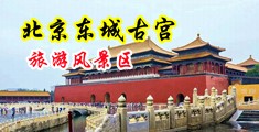 日本骚货的自拍中国北京-东城古宫旅游风景区